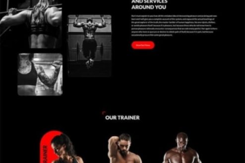 fitness-scaled-393x1582