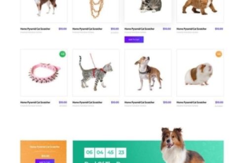 pet-shop-scaled-393x1326