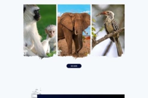 zoo-scaled-393x1909